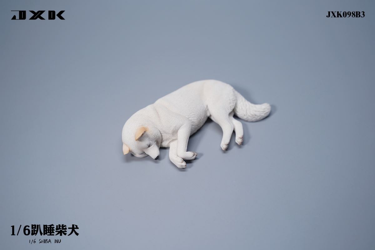 Shiba Inu 1/6