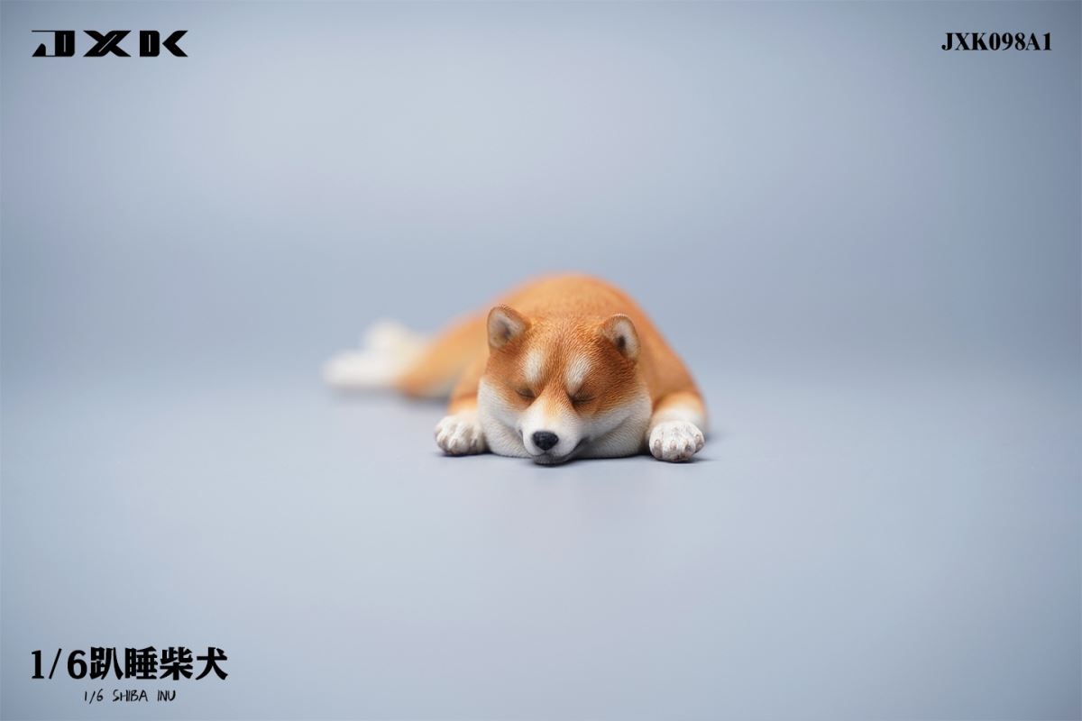 Shiba Inu 1/6