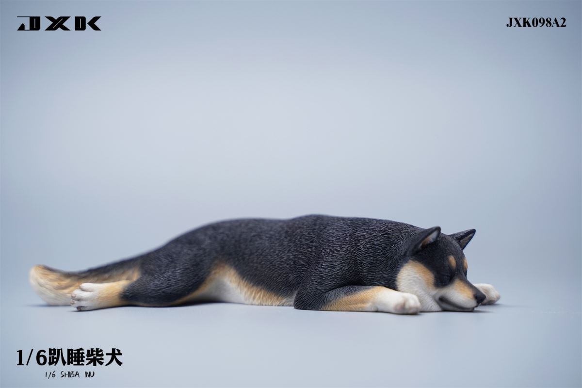 Shiba Inu 1/6