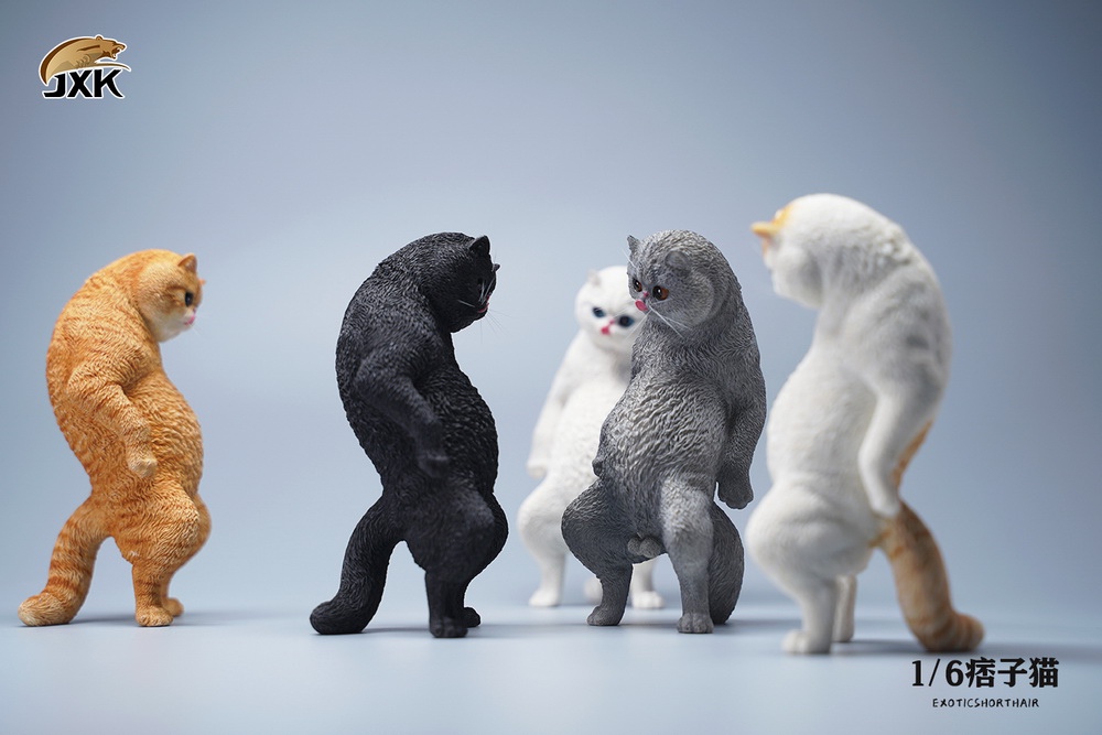 Exoticshorthair JXK088 1/6
