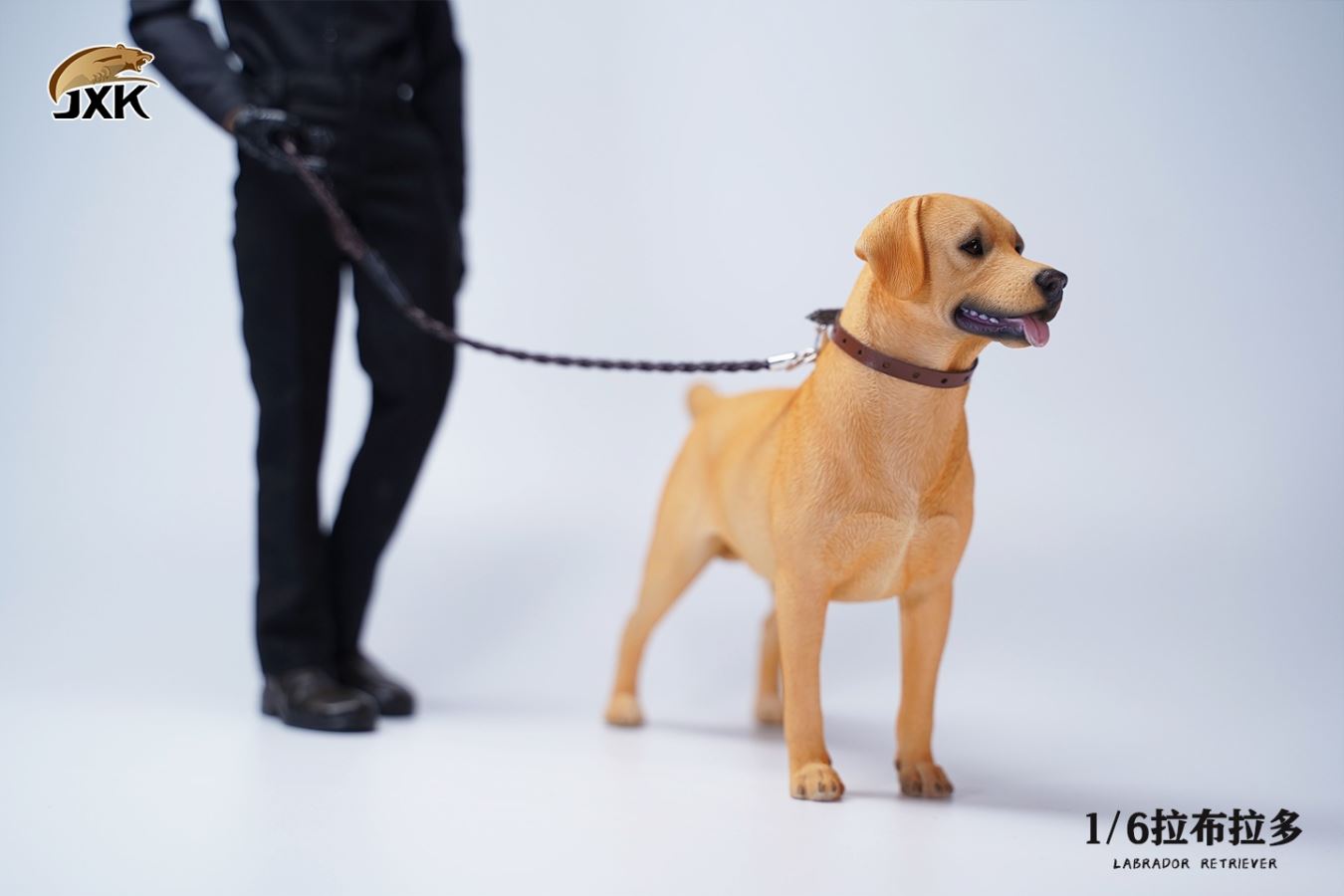 Labrador (JXK089) 1/6