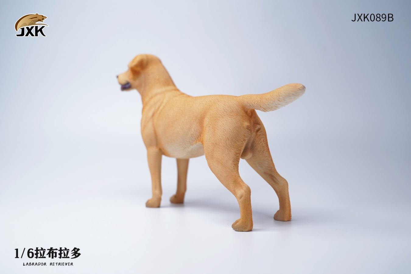 Labrador (JXK089) 1/6