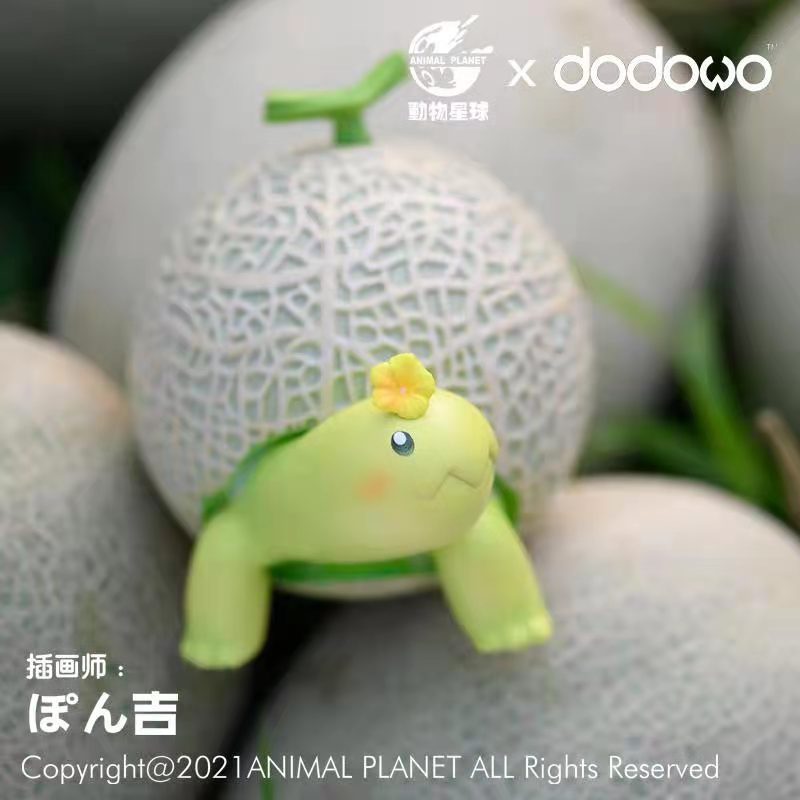 Melon Tortoise