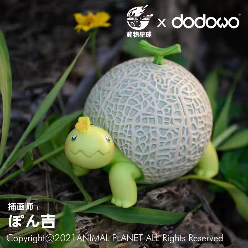 Melon Tortoise