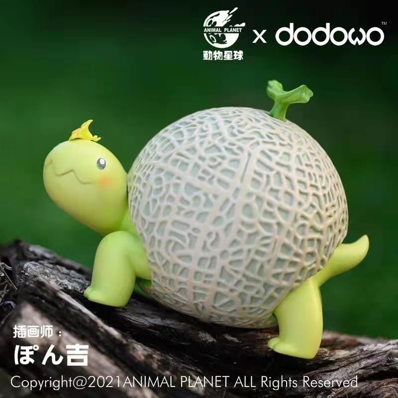 Melon Tortoise
