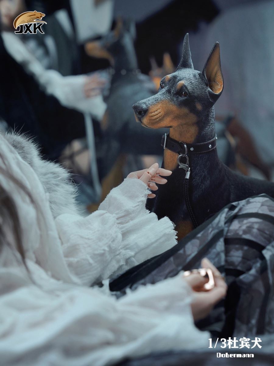 Doberman Animal Model 1/3