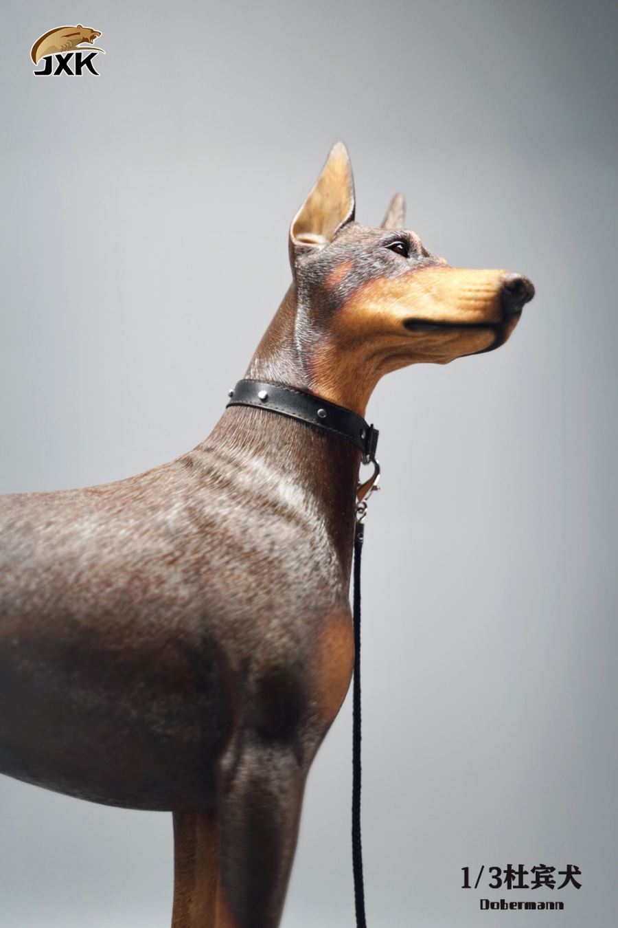 Doberman Animal Model 1/3