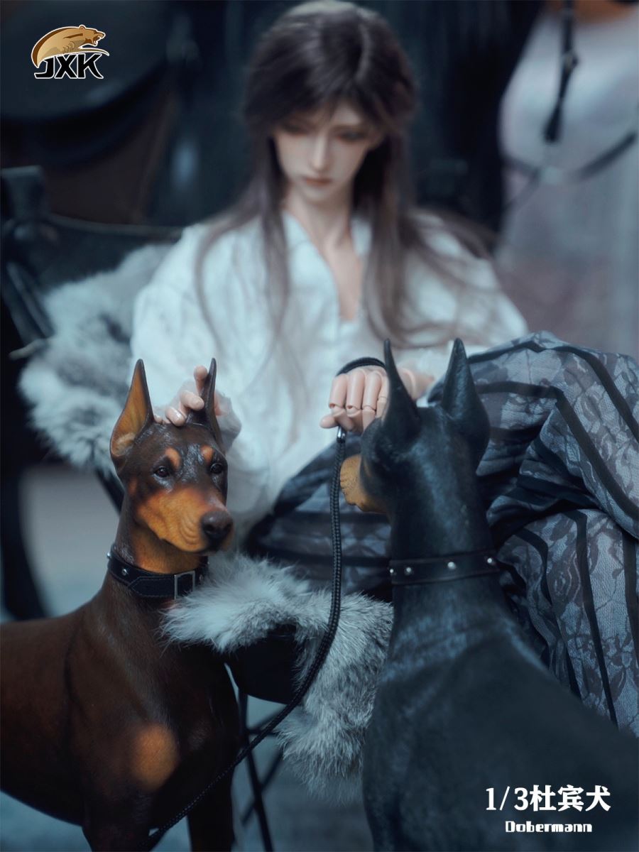 Doberman Animal Model 1/3
