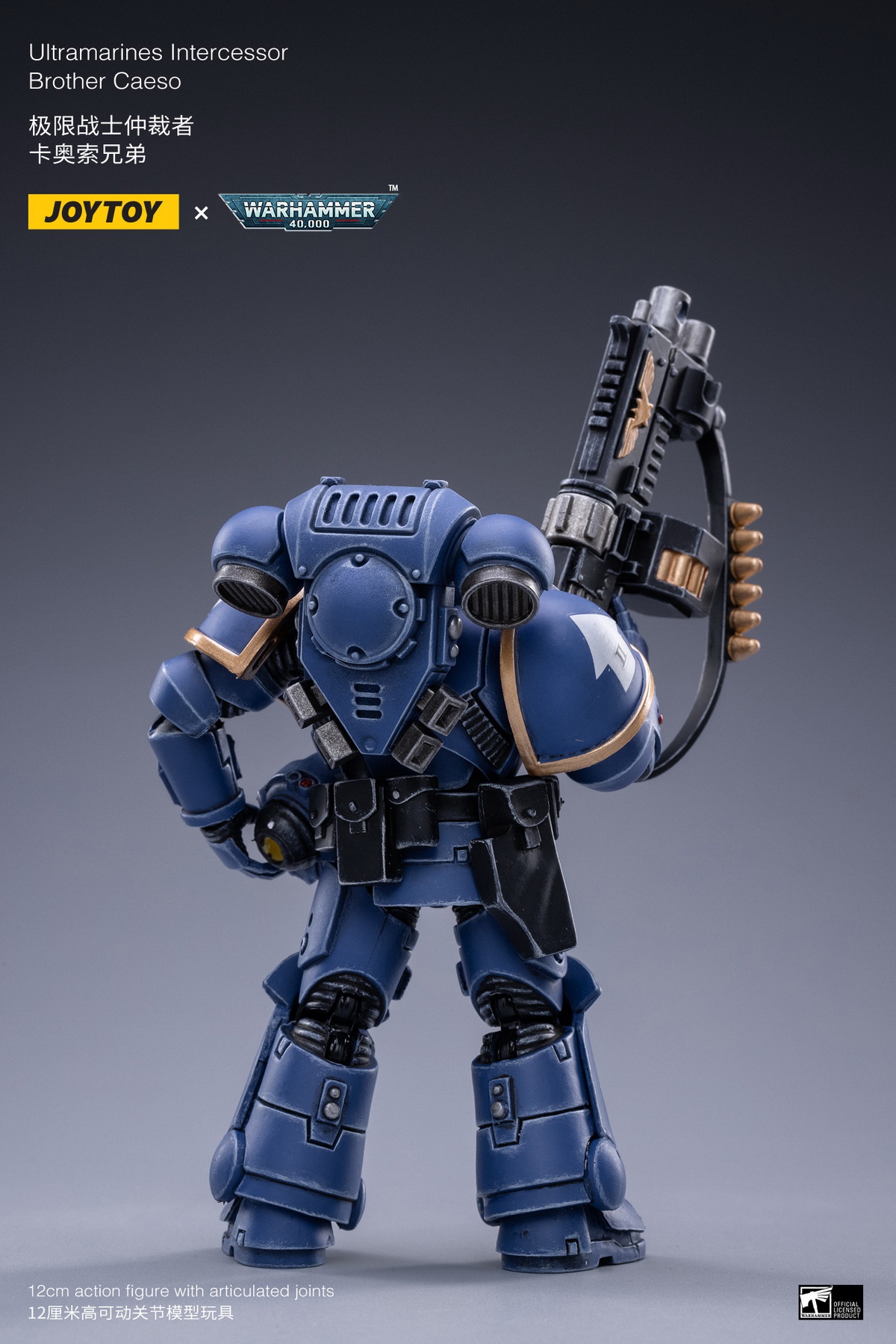 Holy Blood Angel Death Company Arbiter & Ultimate Warrior Arbiter & Original Cast Think Tank