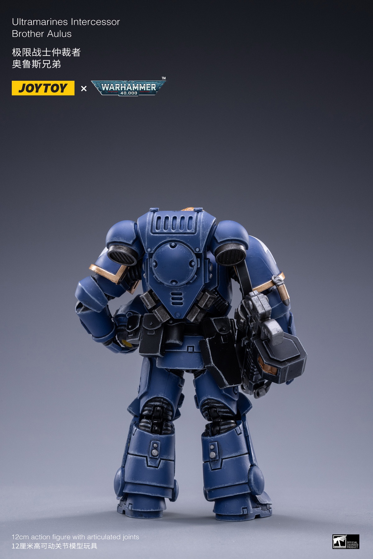 Holy Blood Angel Death Company Arbiter & Ultimate Warrior Arbiter & Original Cast Think Tank