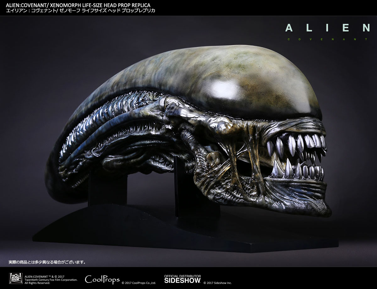 ALIEN: COVENANT / XENOMORPH LIFE-SIZE HEAD PROP REPLICA