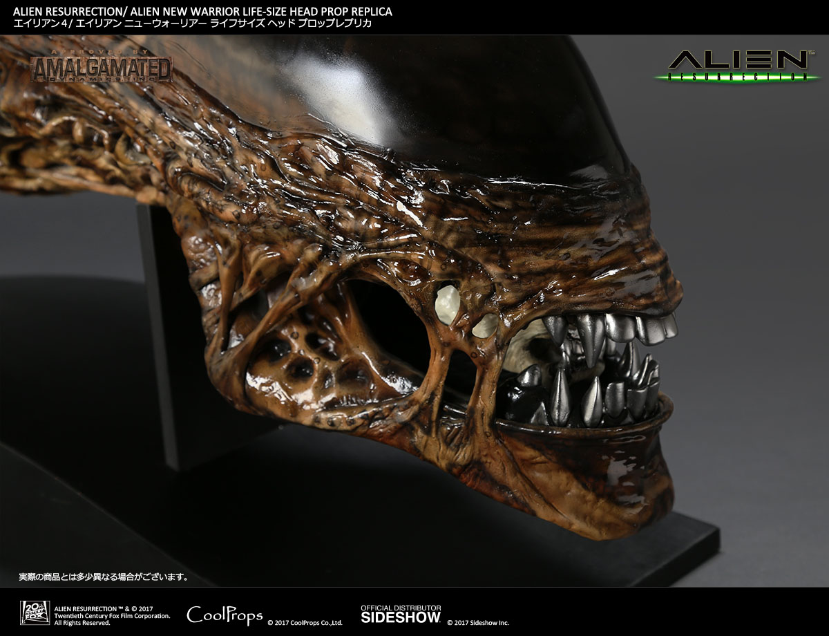 ALIEN RESURRECTION / ALIEN NEW WARRIOR LIFE-SIZE HEAD PROP REPLICA