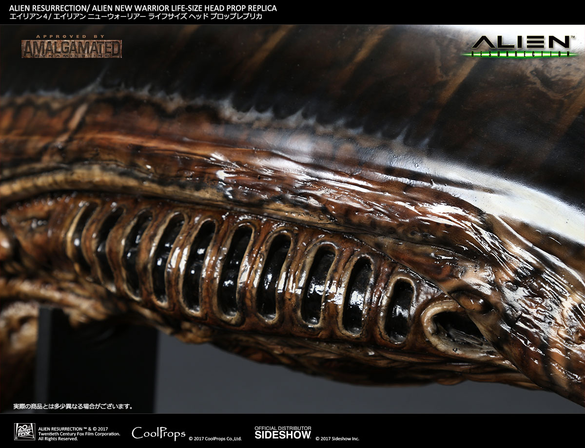 ALIEN RESURRECTION / ALIEN NEW WARRIOR LIFE-SIZE HEAD PROP REPLICA