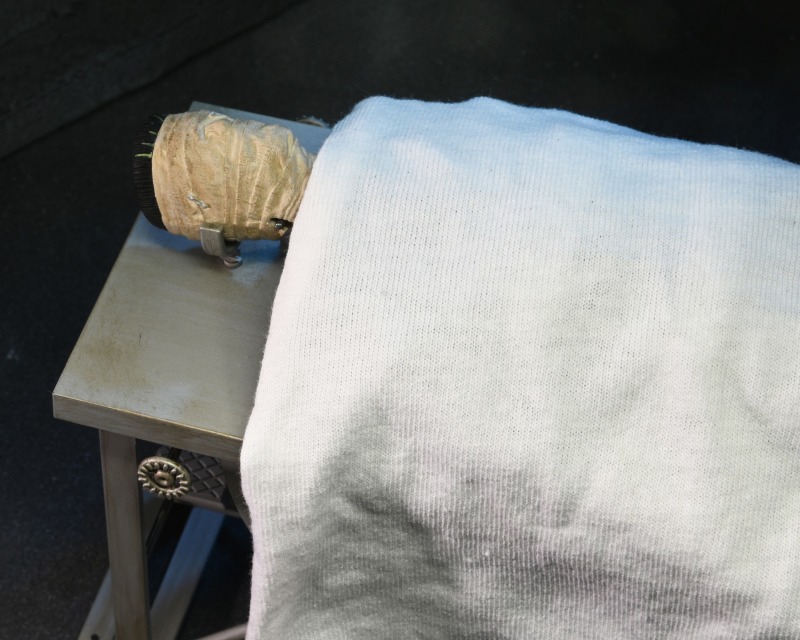 Universal Monsters – Frankenstein Accessory Set