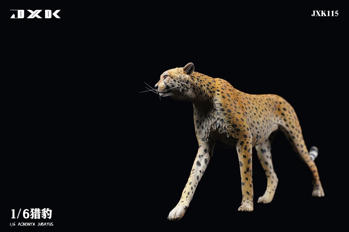 Acinonyx Jubatus/King Cheetha 1/6