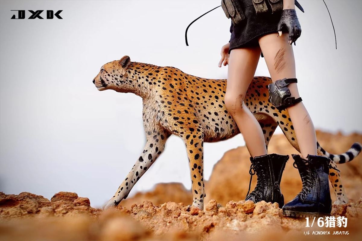 Acinonyx Jubatus/King Cheetha 1/6