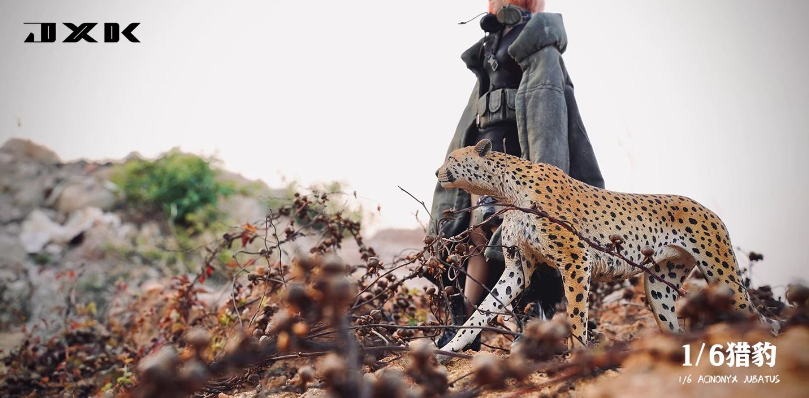 Acinonyx Jubatus/King Cheetha 1/6