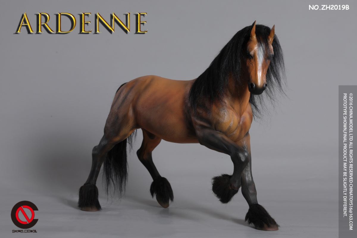 Ardenne 1/6