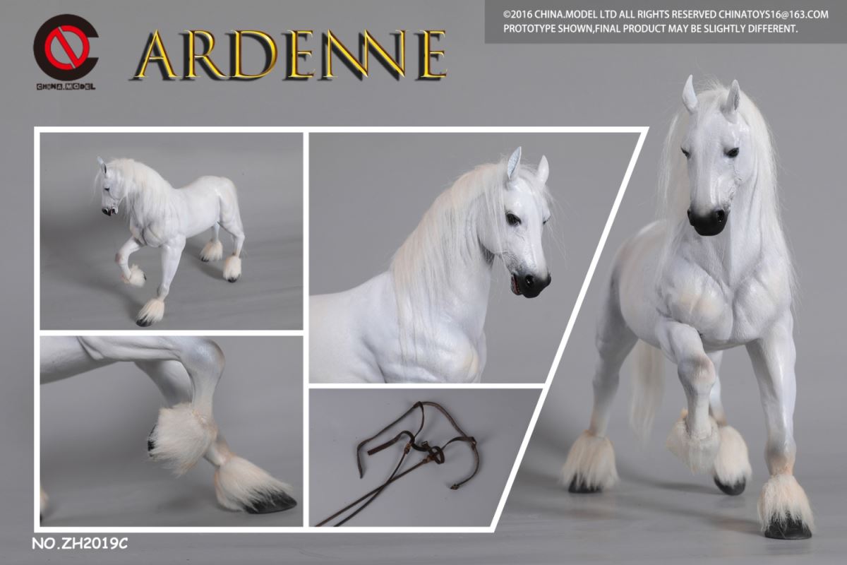Ardenne 1/6
