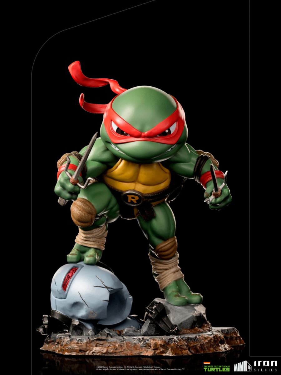 Teenage Mutant Ninja Turtles (Q version) - Leonardo / Raphael / Donatello / Michelangelo