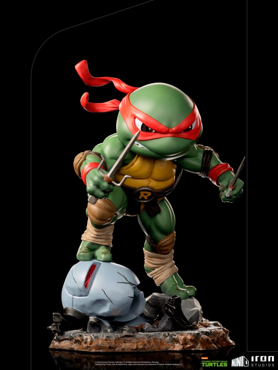 Teenage Mutant Ninja Turtles (Q version) - Leonardo / Raphael / Donatello / Michelangelo