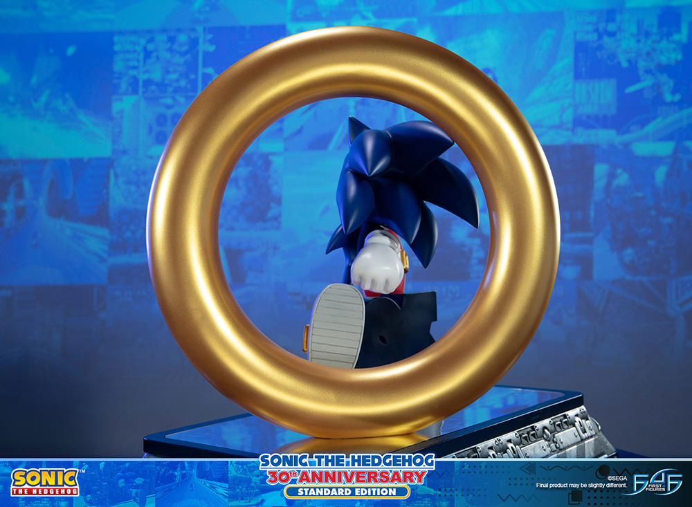 Sonic The Hedgehog 30th Anniversary