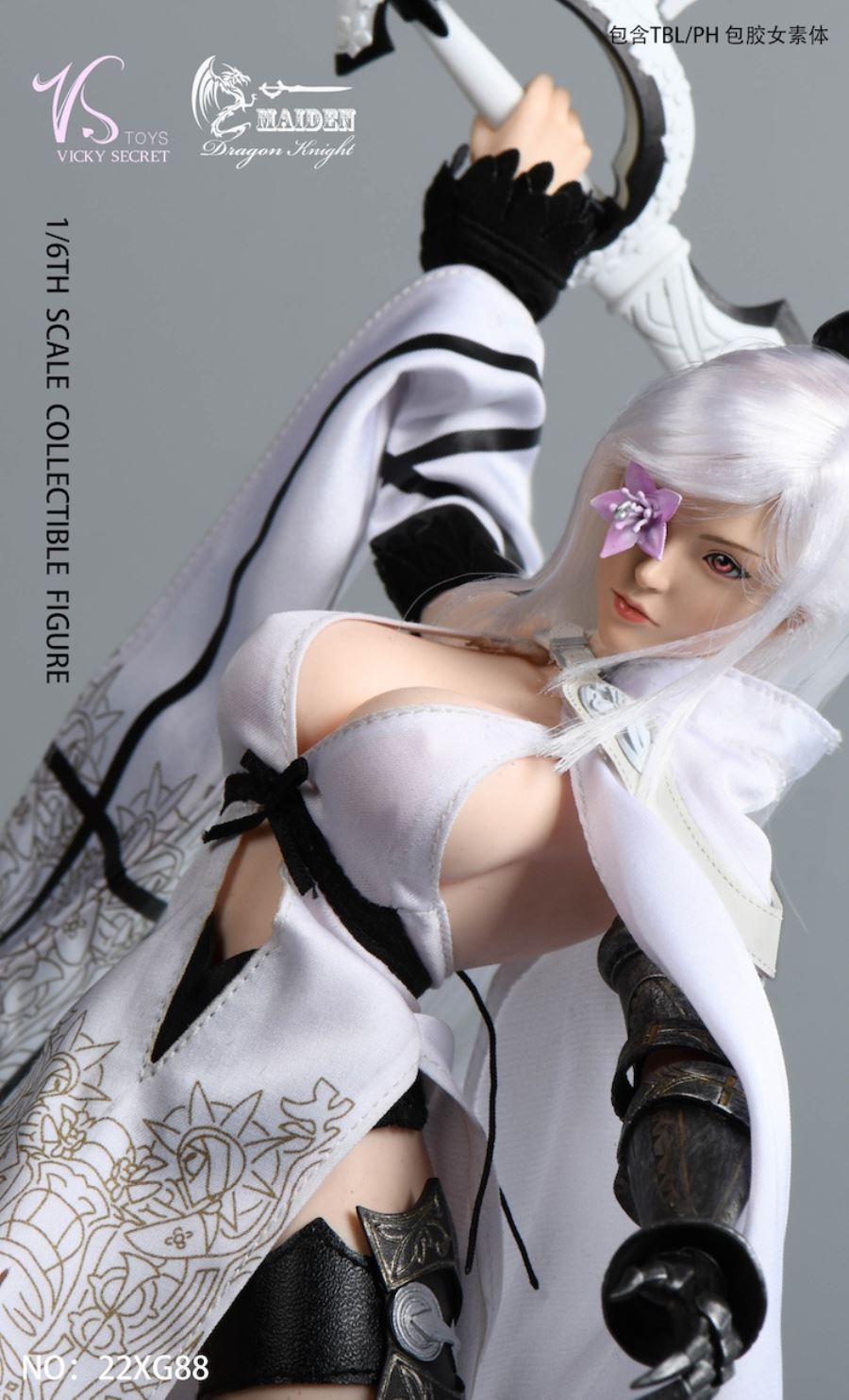 Dragon Rider 22XG88 1/6