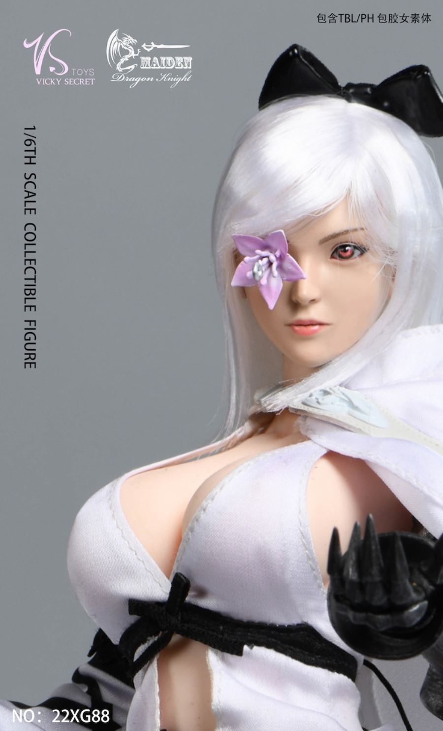 Dragon Rider 22XG88 1/6