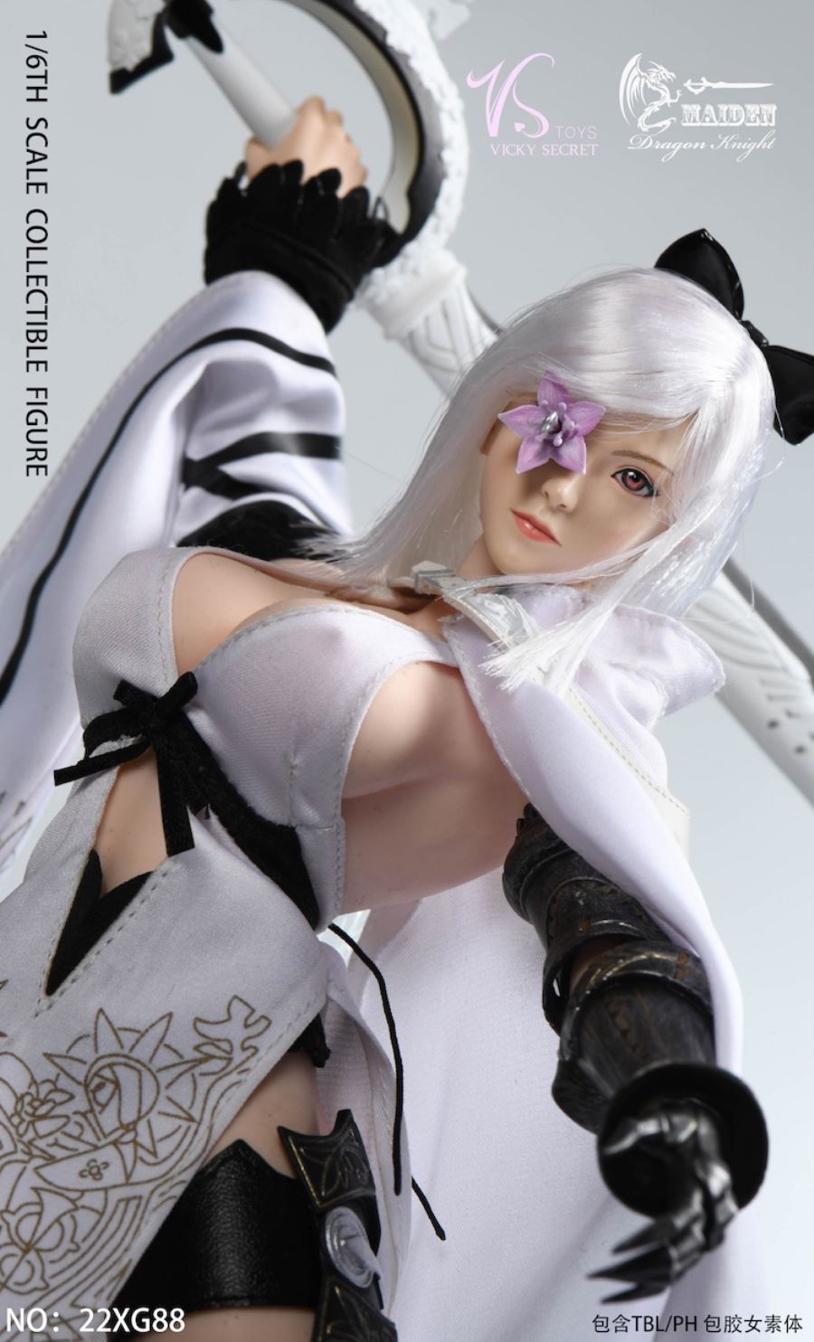 Dragon Rider 22XG88 1/6