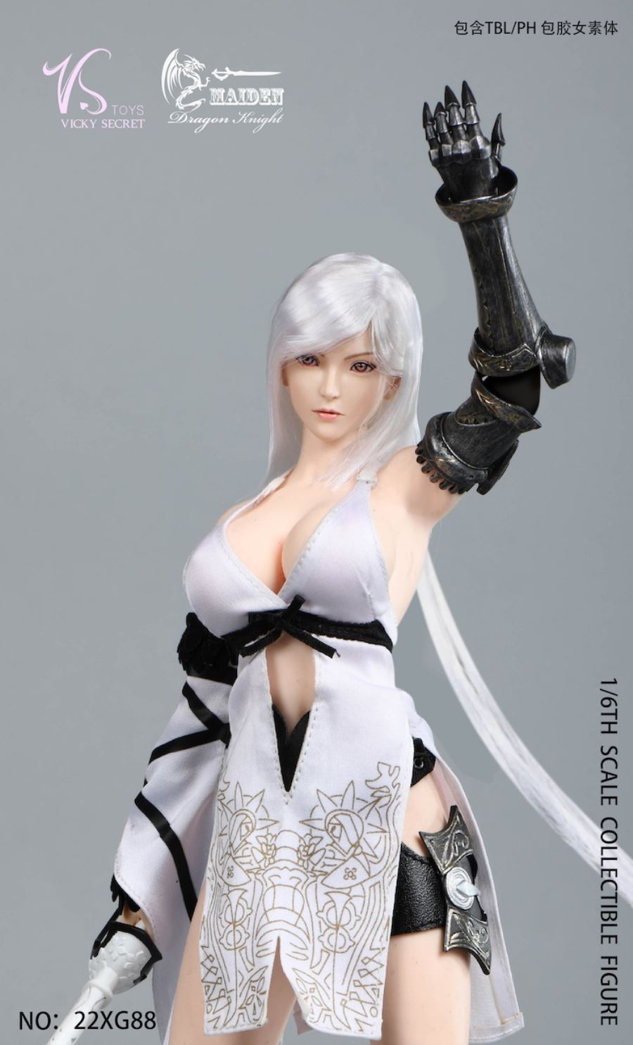 Dragon Rider 22XG88 1/6