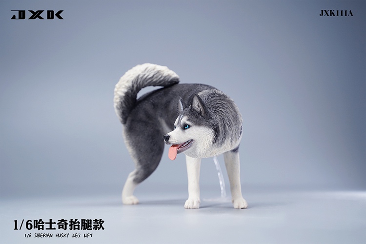 Siberian Husky Half Squat / Leg Lift 1/6