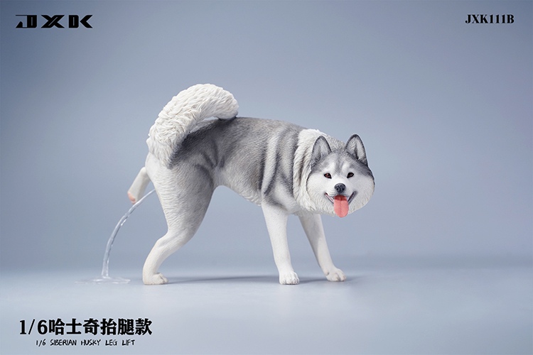 Siberian Husky Half Squat / Leg Lift 1/6