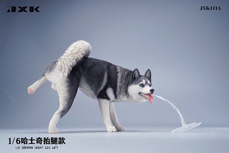 Siberian Husky Half Squat / Leg Lift 1/6
