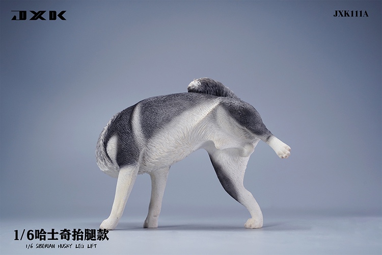 Siberian Husky Half Squat / Leg Lift 1/6