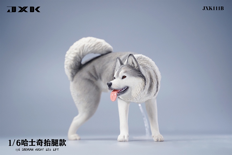 Siberian Husky Half Squat / Leg Lift 1/6