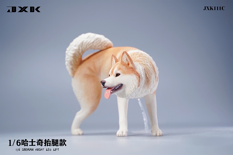 Siberian Husky Half Squat / Leg Lift 1/6