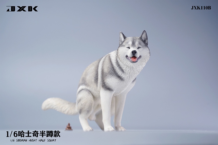 Siberian Husky Half Squat / Leg Lift 1/6