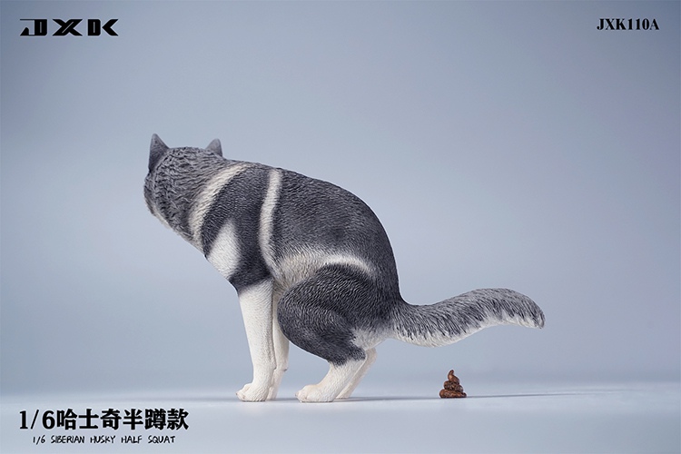 Siberian Husky Half Squat / Leg Lift 1/6