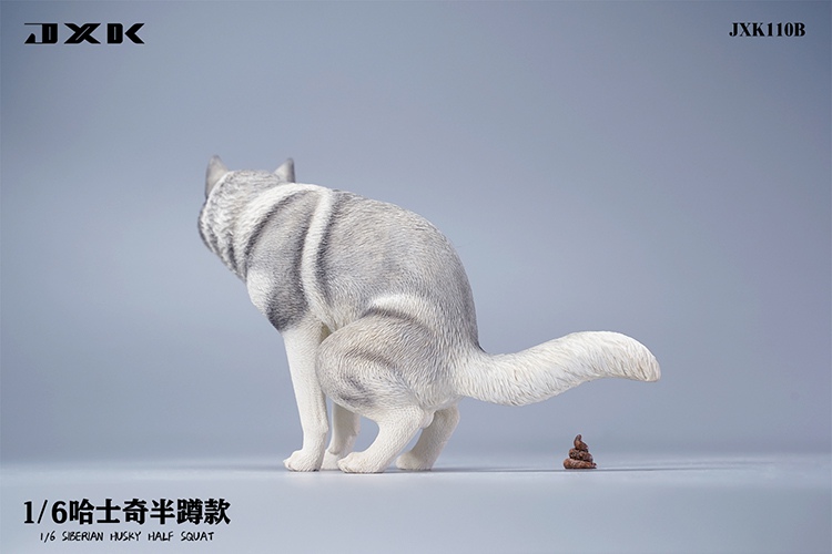 Siberian Husky Half Squat / Leg Lift 1/6