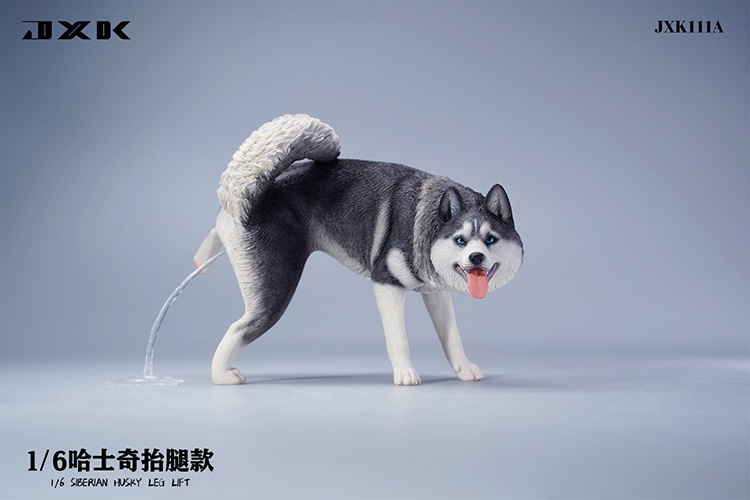 Siberian Husky Half Squat / Leg Lift 1/6