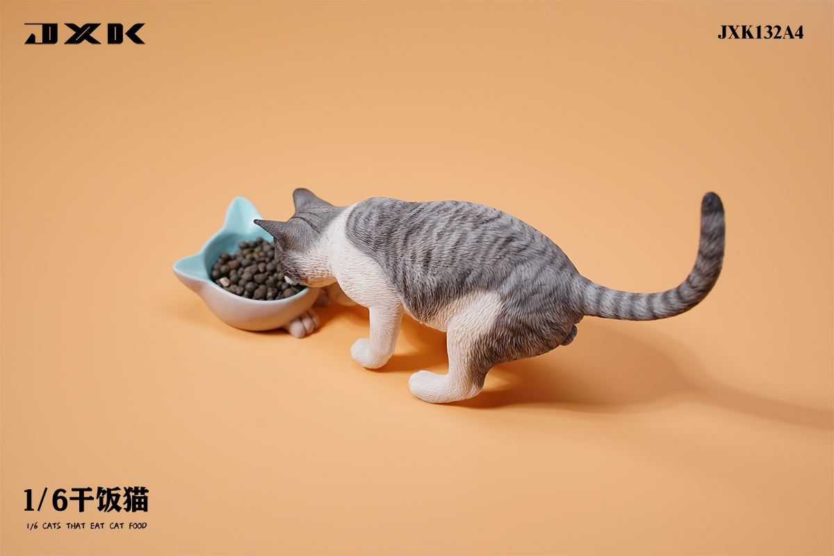 Dry Rice Cat 1/6