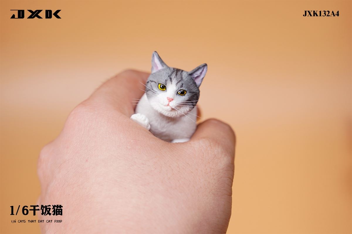 Dry Rice Cat 1/6