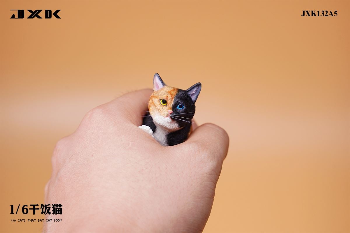 Dry Rice Cat 1/6