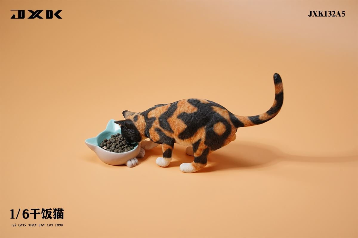 Dry Rice Cat 1/6
