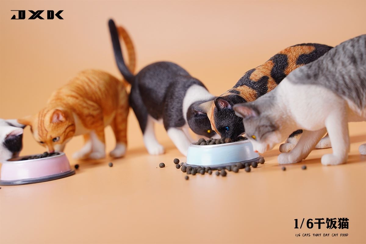 Dry Rice Cat 1/6