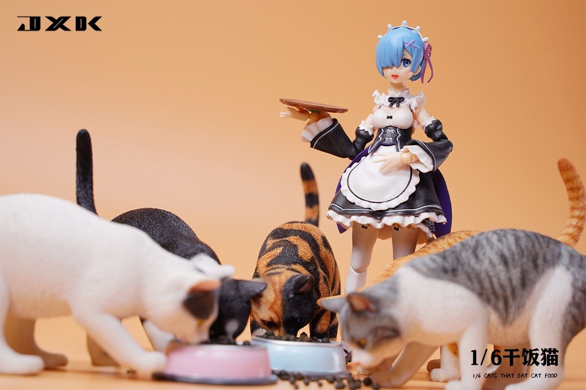 Dry Rice Cat 1/6