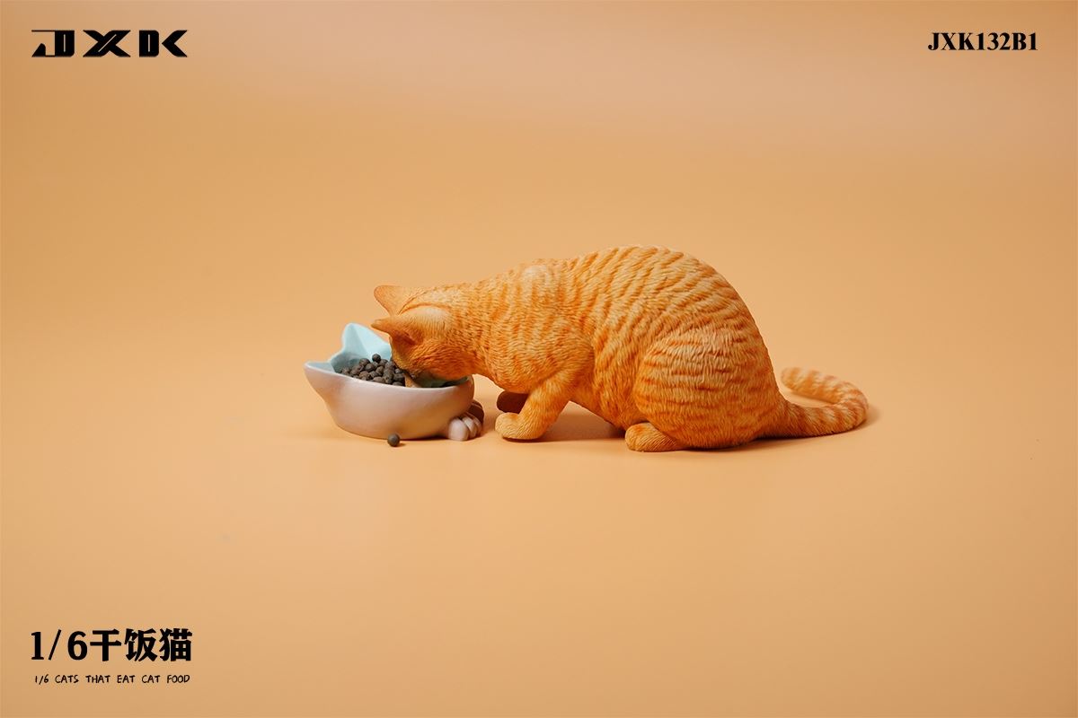 Dry Rice Cat 1/6
