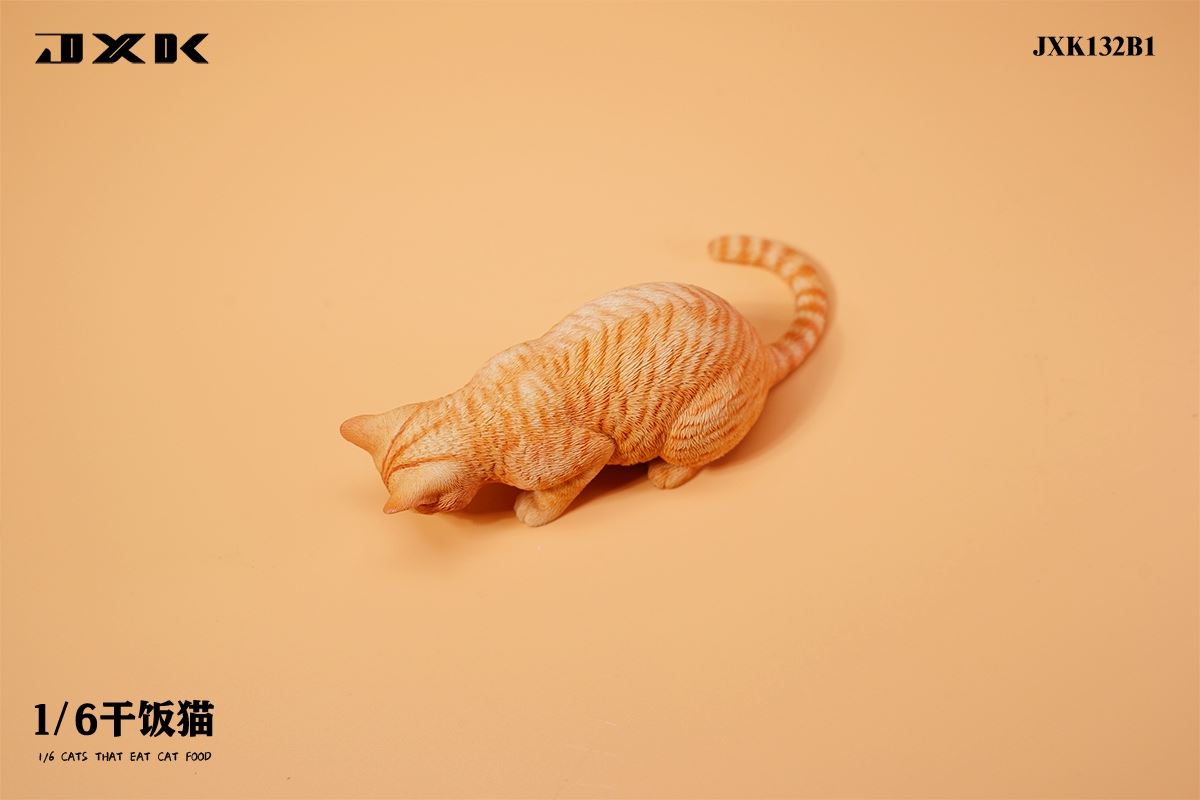Dry Rice Cat 1/6