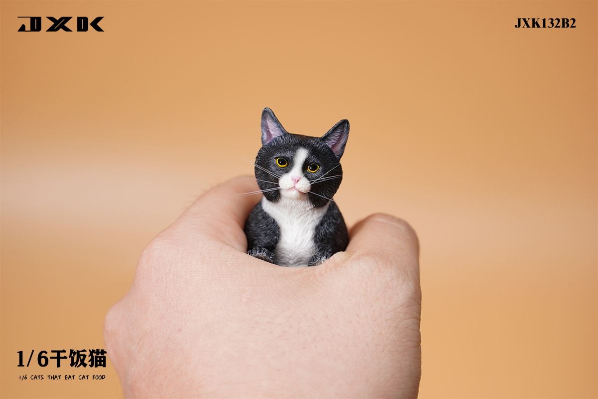 Dry Rice Cat 1/6