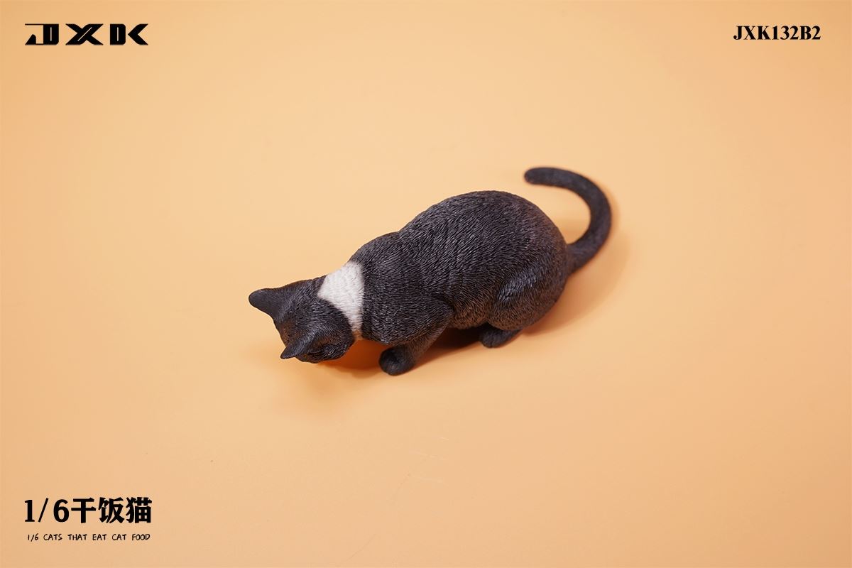 Dry Rice Cat 1/6